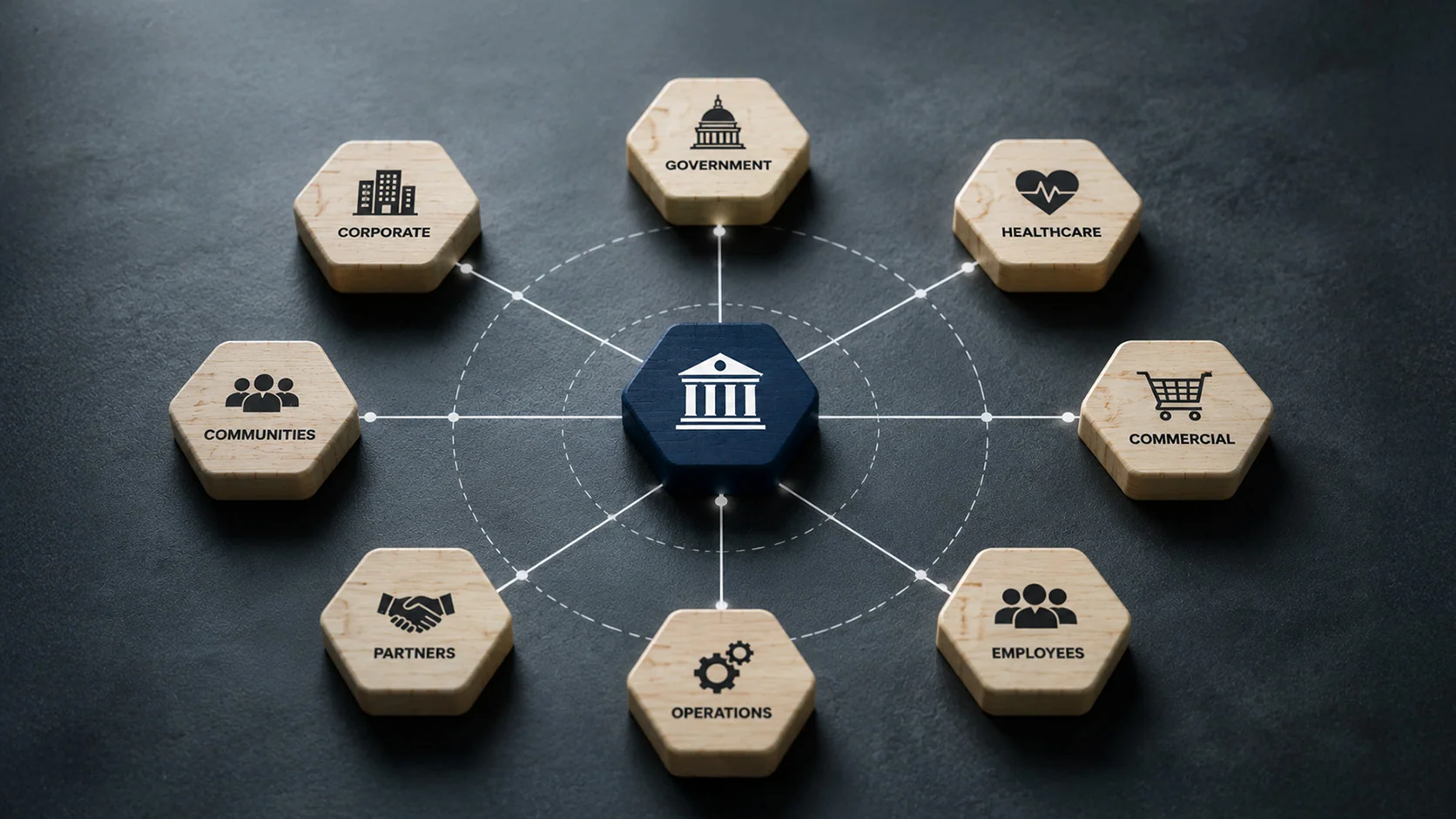 A network diagram representing the stakeholder complexity of institutional organizations